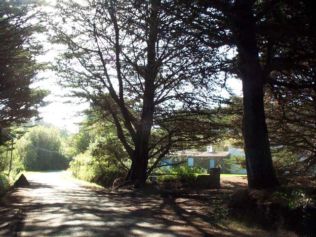 automne-seuls-bicyclette