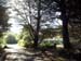 chemin_amoureux