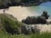 sandy_beaches